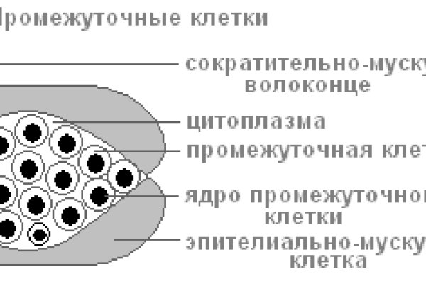 Сайты где купить наркотики